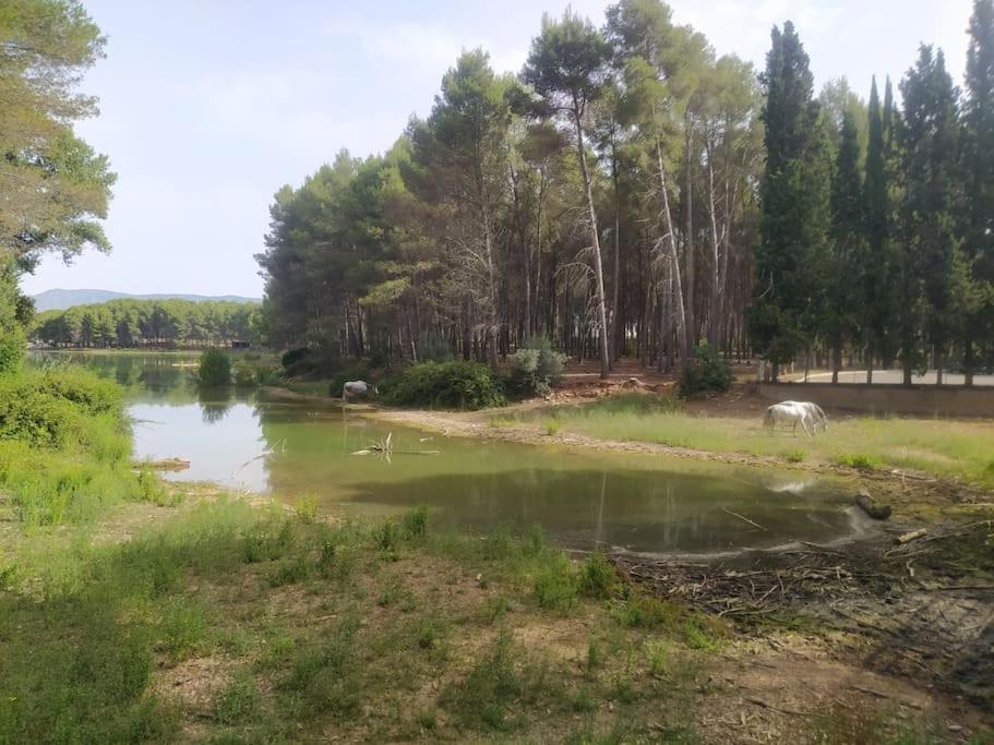 Casa Junto Al Lago Villa Jerica Exterior photo